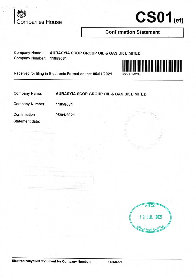 AURASYIA Certificate D